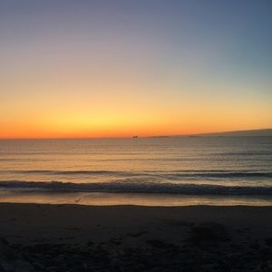 EVERYTHING HAS TO GO